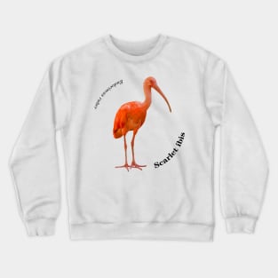 Scarlet ibis tropical bird pin black text Crewneck Sweatshirt